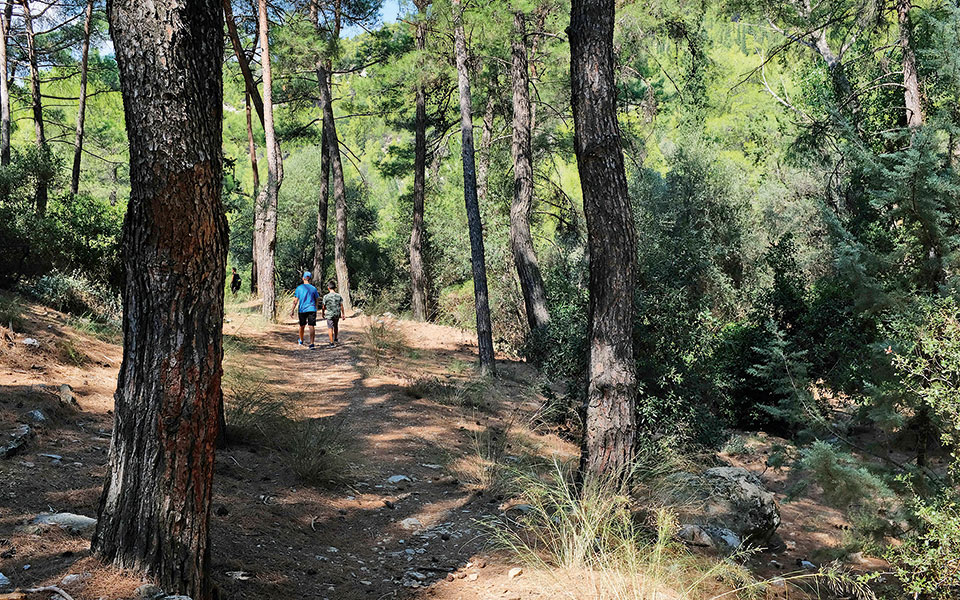 νέα-παράταση-για-τα-αυθαίρετα-των-δήμω-562197946