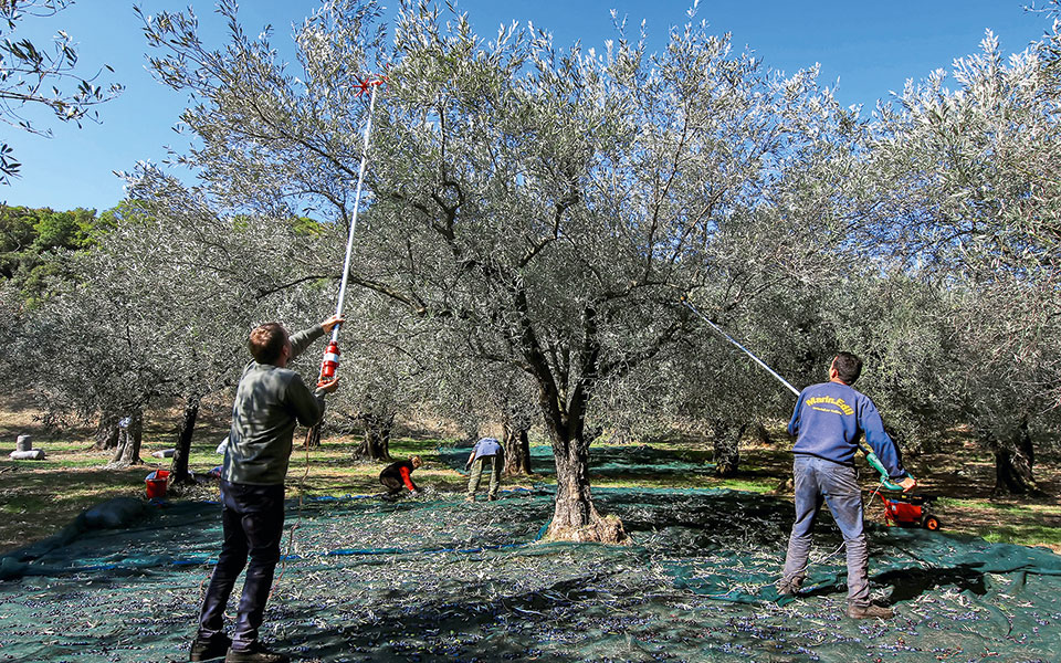 άδειες-διαμονής-νέου-τύπου-562206367