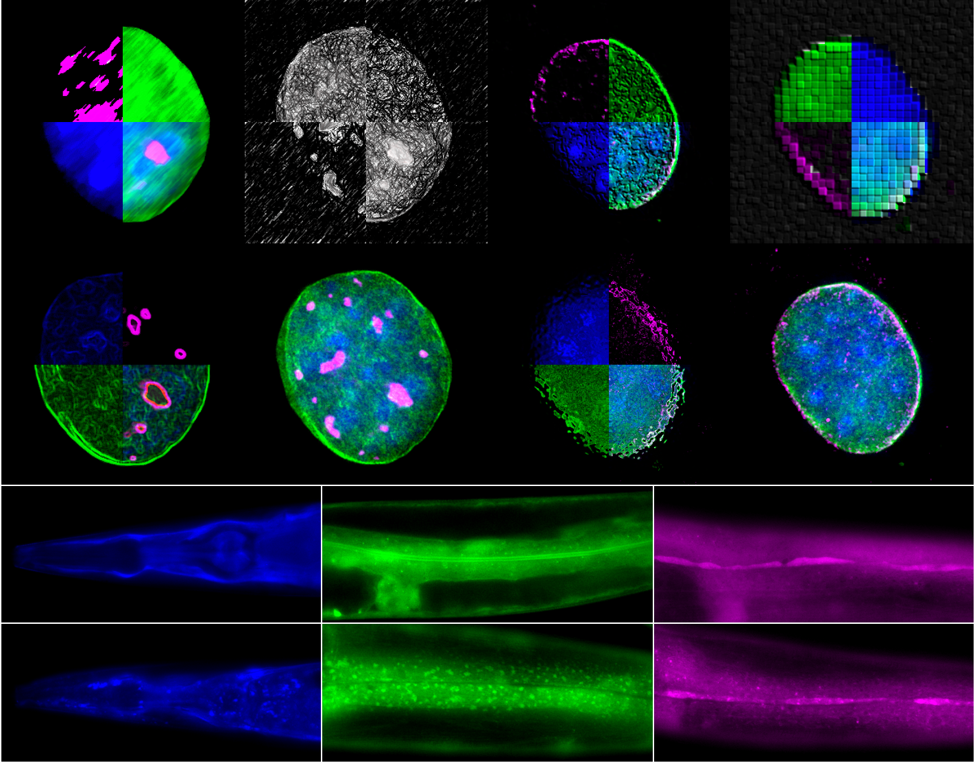 έλληνες-ερευνητές-φως-στον-μηχανισμό-562204141