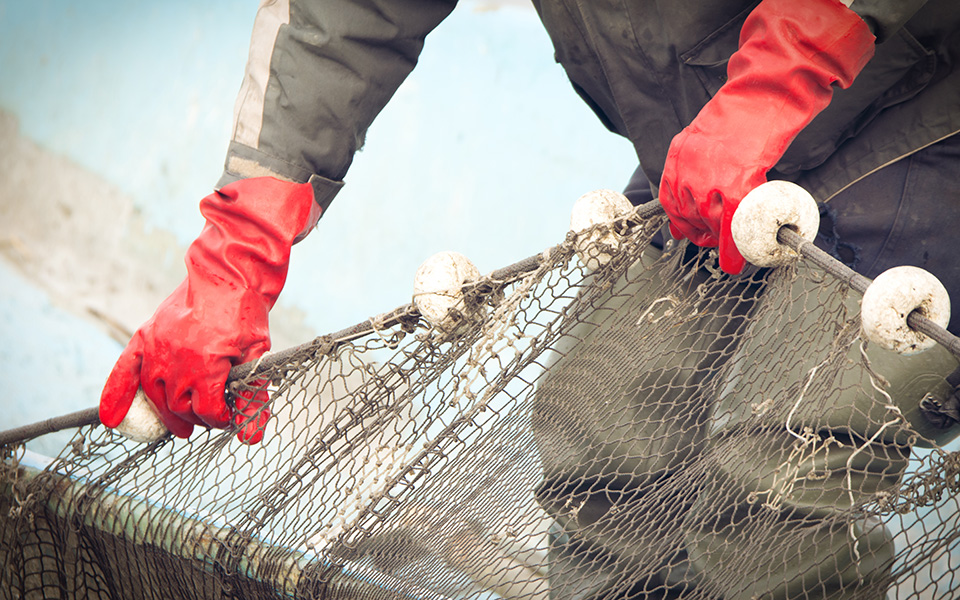 η-αλιεία-αλλάζει-για-το-καλό-της-γης-562206595