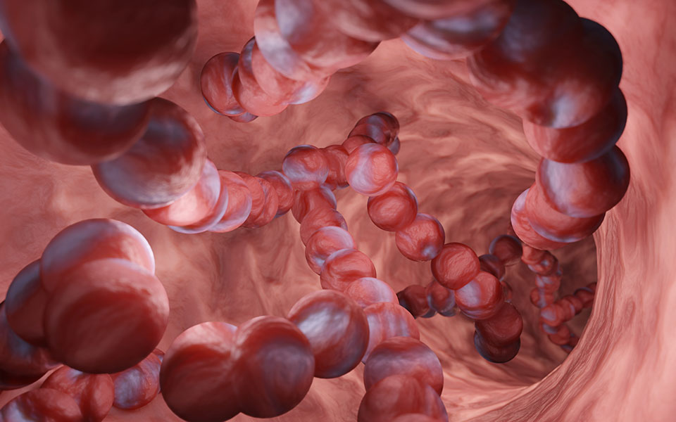 στρεπτόκοκκος-α-ένας-παλιός-εχθρός-με-562196887