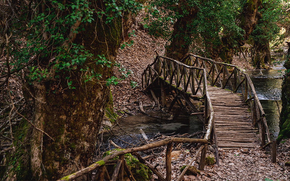 Τρεις χειμωνιάτικες εκδρομές για φυσιολάτρες-2