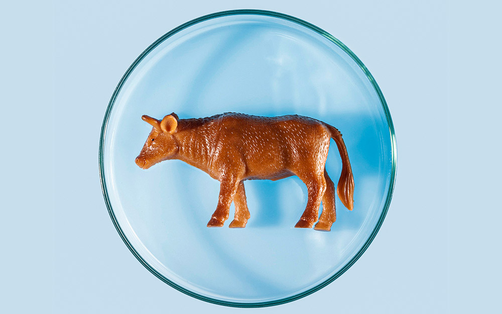 είναι-το-συνθετικό-κρέας-ένα-ακόμη-παρ-562178098