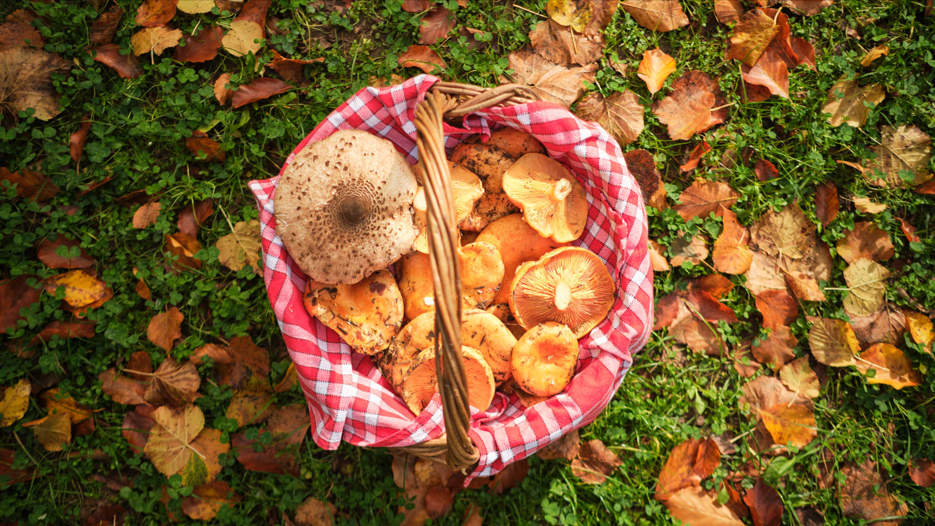 το-γιορτινό-μενού-της-γιαγιάς-αβέρωφ-μ-562185394