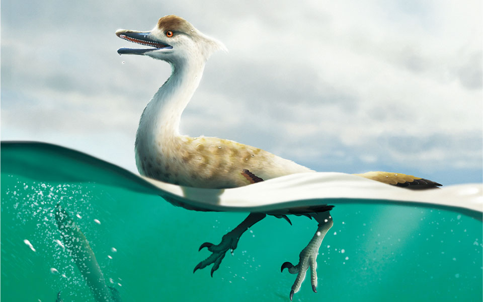 μογγολία-ανακαλύφθηκε-νέο-είδος-δειν-562165441