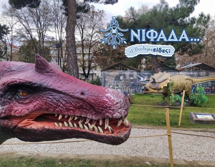 Εορταστικές εκδηλώσεις του Δήμου Εορδαίας με πρωταγωνίστρια τη Νιφάδα-2