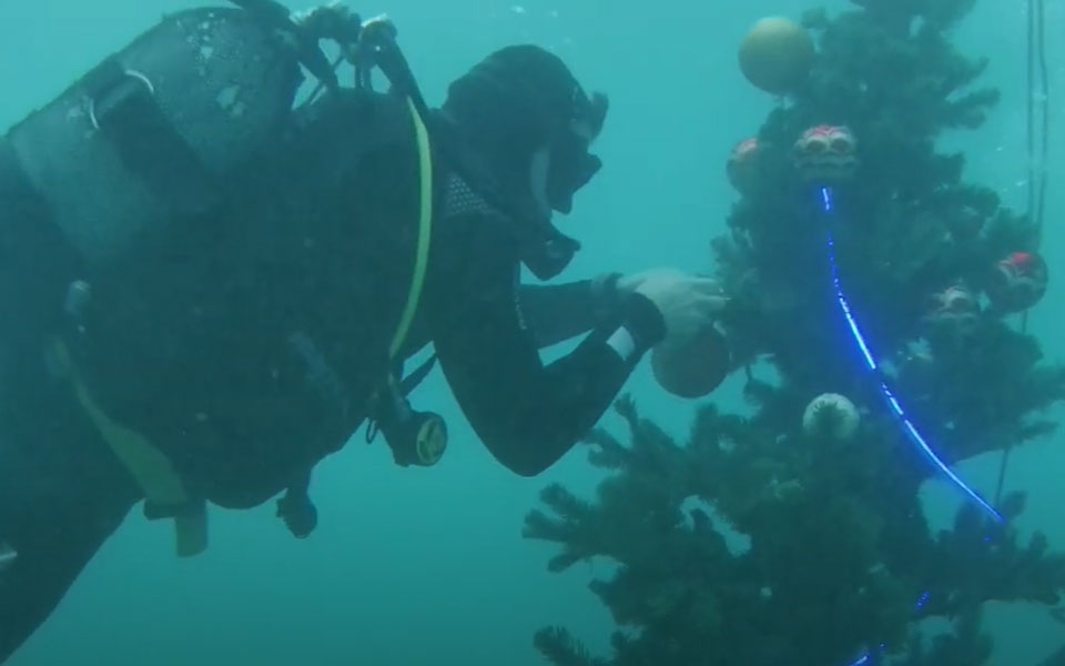 ένα-χριστουγεννιάτικο-δέντρο-στον-βυ-562181923