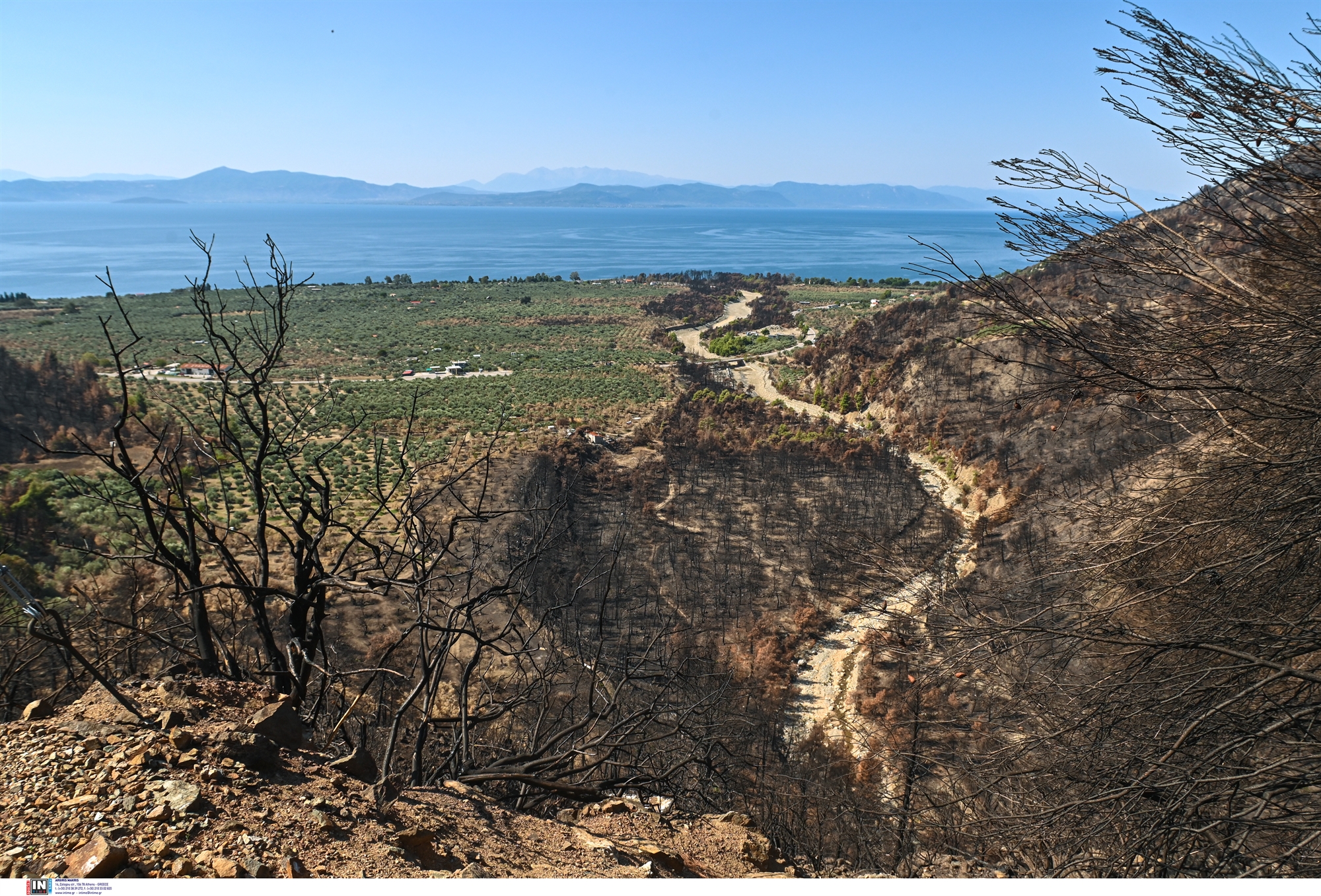 Το μέλλον της Εύβοιας είναι πράσινο-3