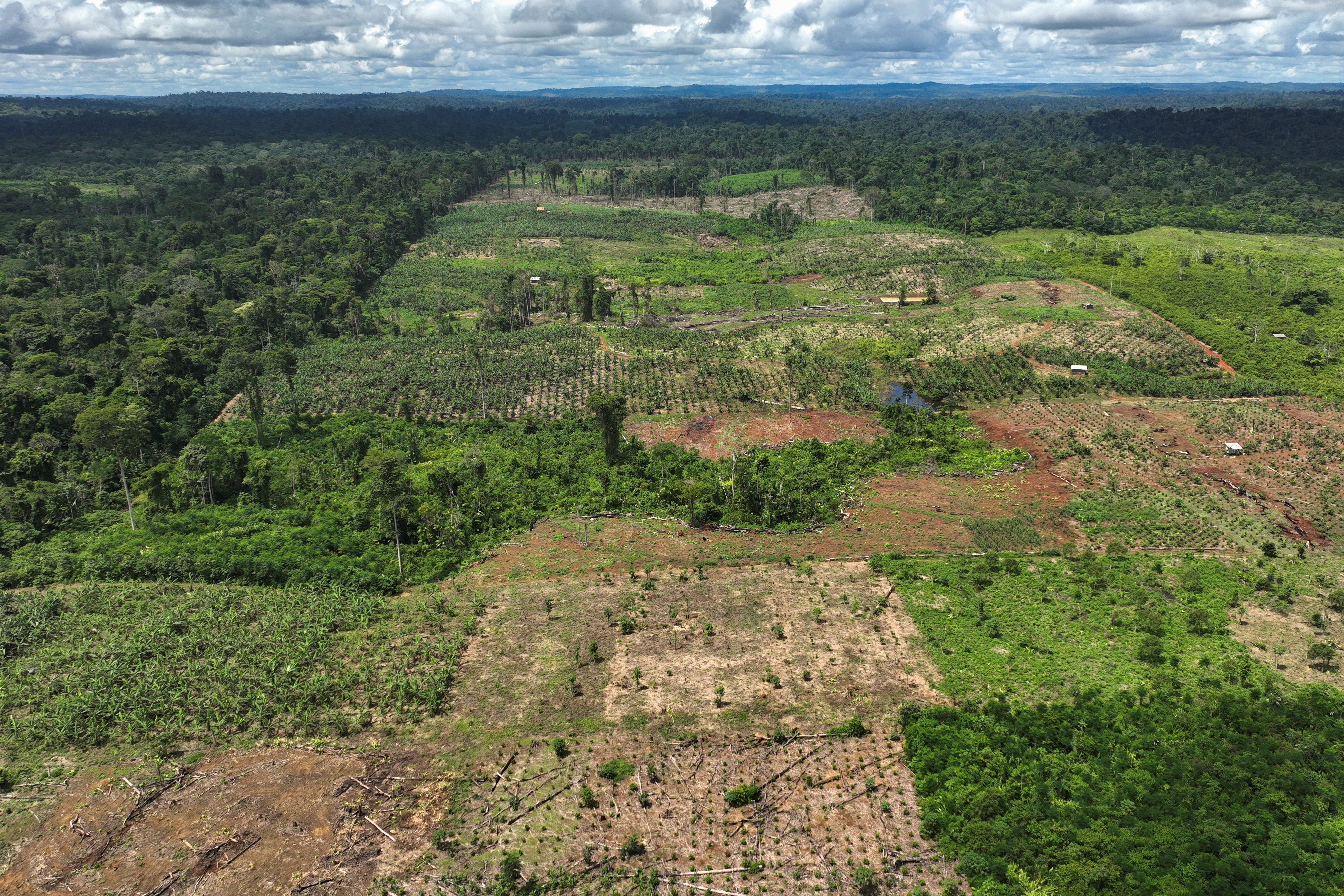 Βραζιλία: Ο Λούλα επιβάλλει ήδη μέτρα προστασίας του Αμαζονίου – Εικόνες αποκαλύπτουν την έκταση της αποψίλωσης-4