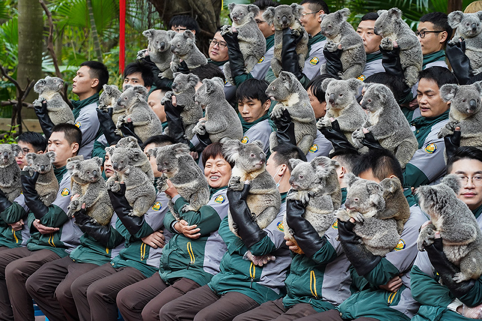 Του Αγίου Αντωνίου-2