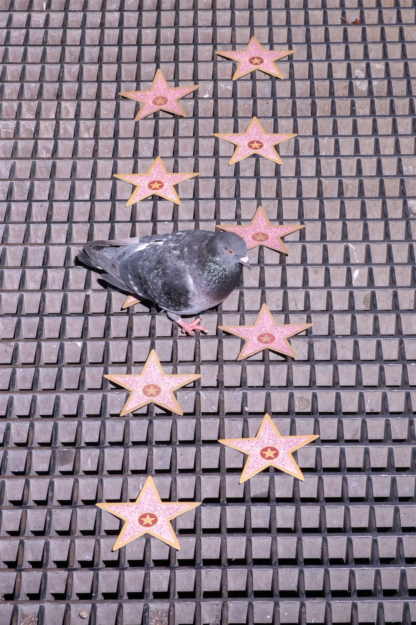 Πώς η Νέα Υόρκη γίνεται Λος Άντζελες-2