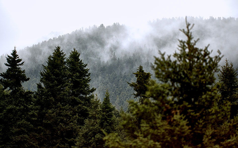 το-μαίναλο-στα-απάτητα-βουνά-562226536