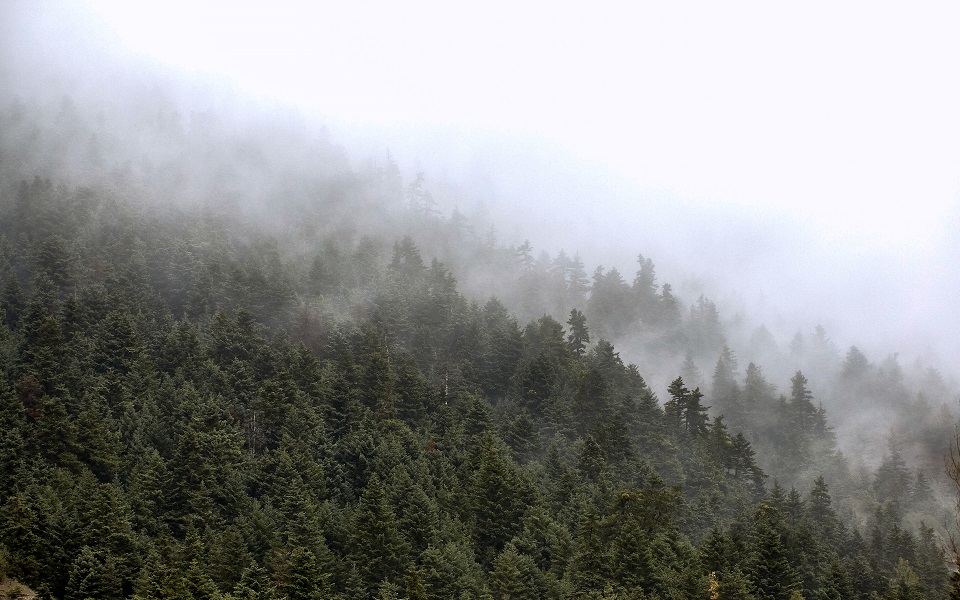 τι-είναι-η-ομίχλη-ακτινοβολίας-που-κατ-562213639