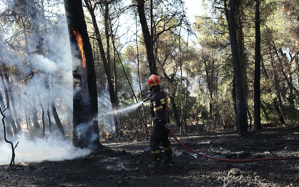 εύβοια-κάηκαν-περισσότερα-από-40-στρέμμ-562221538