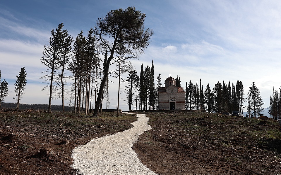 tέως-βασιλιάς-κωνσταντίνος-όλα-έτοιμα-562229938