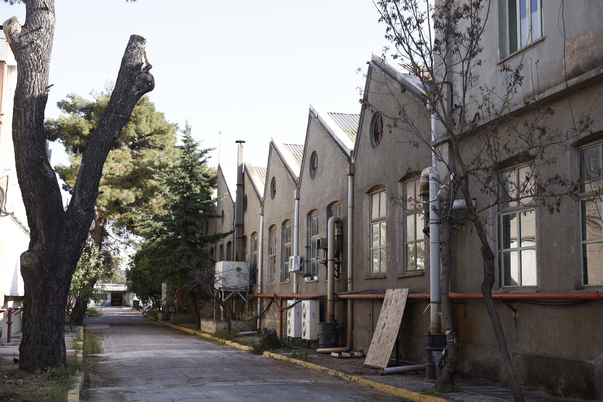 Kυβερνητικό πάρκο ΠΥΡΚΑΛ: Η πρόκληση και ο γρίφος-2