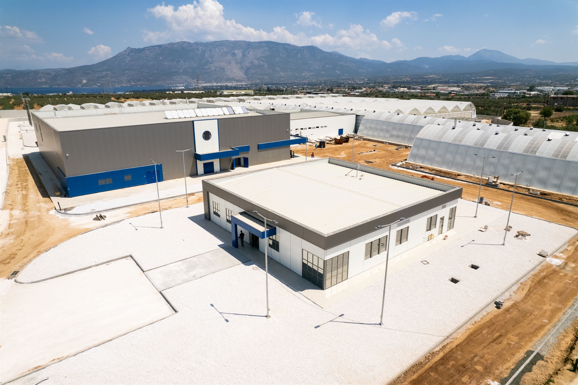 σε-οκτώ-μήνες-η-πρώτη-ελληνική-παραγωγ-562248910