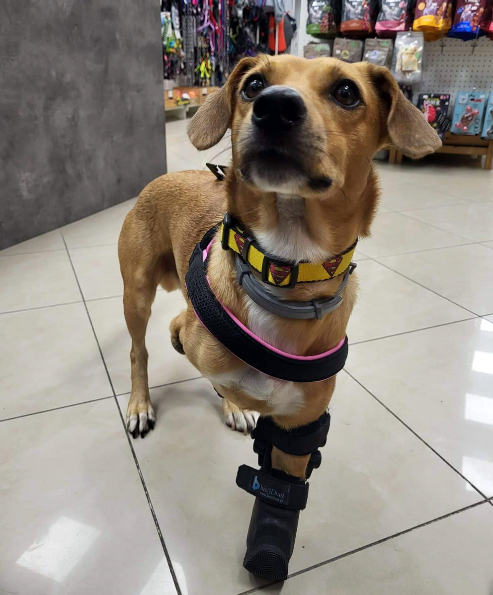 Kερδισμένες ζωές με 3D εκτυπωτές-3