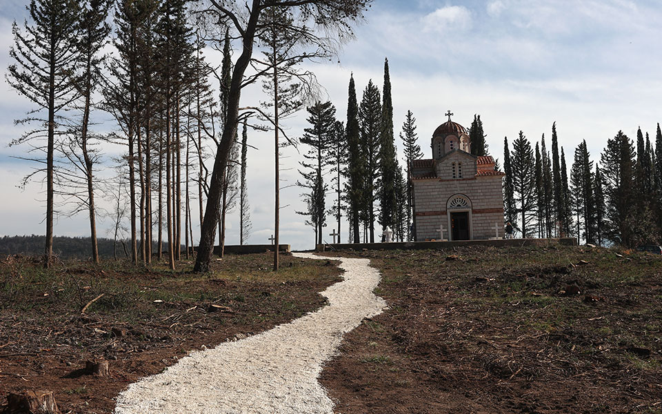 τέως-βασιλιάς-κωνσταντίνος-νέα-ανακο-562227139
