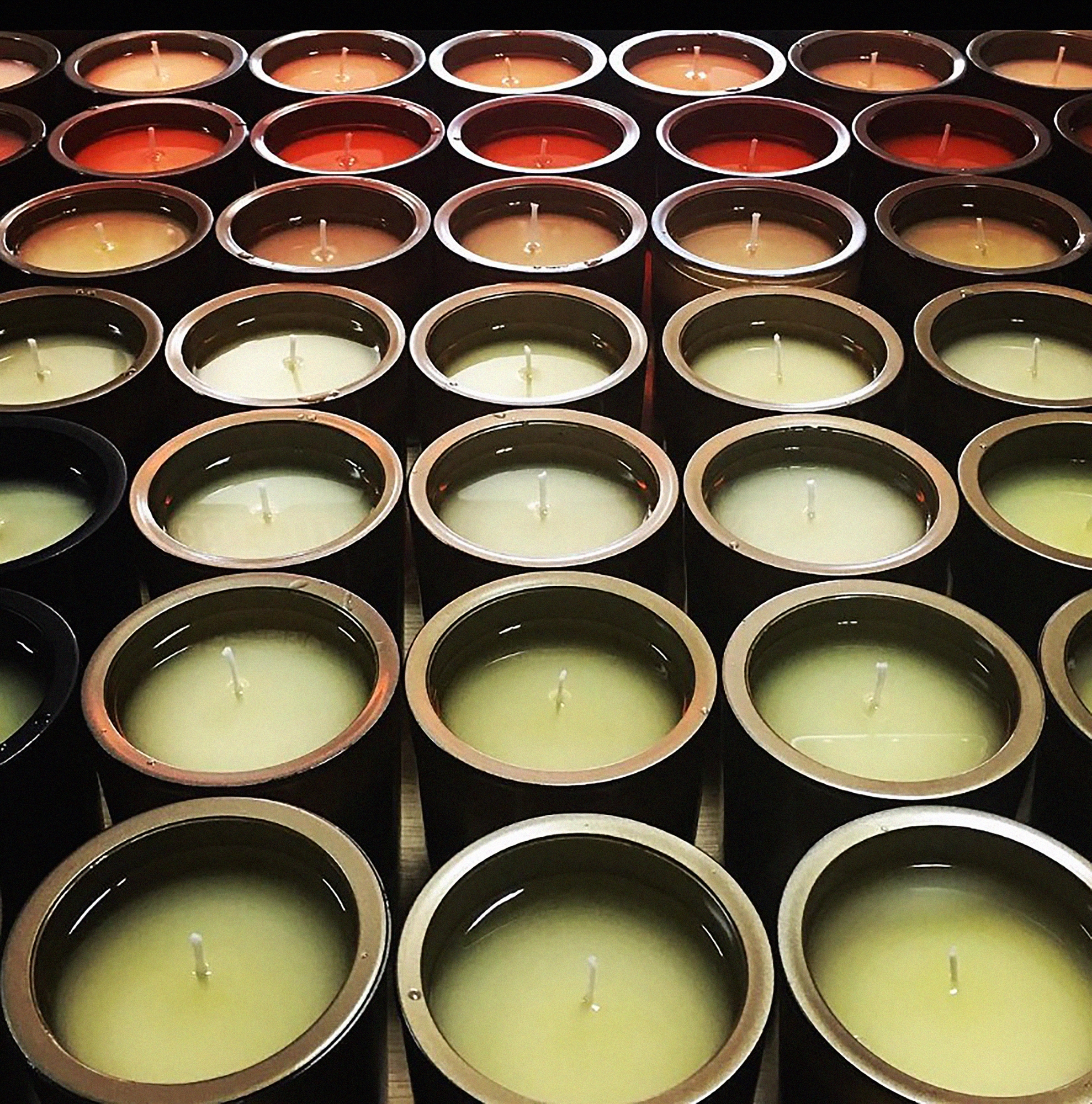 Το άγριο άρωμα της Μήδειας-3