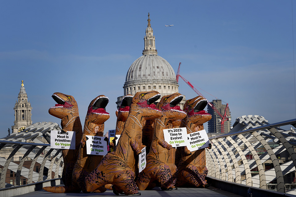 χορτοφάγοι-562234969