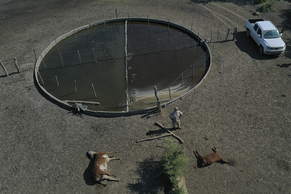 Ο θρίαμβος της Δημοκρατίας-1