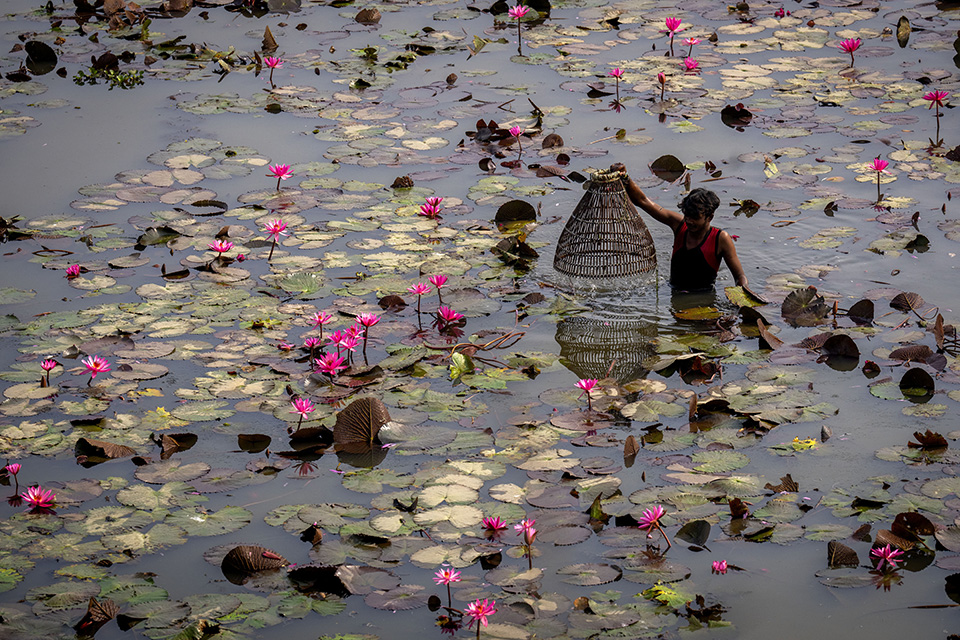 φεστιβάλ-αδερφοσύνης-562239049