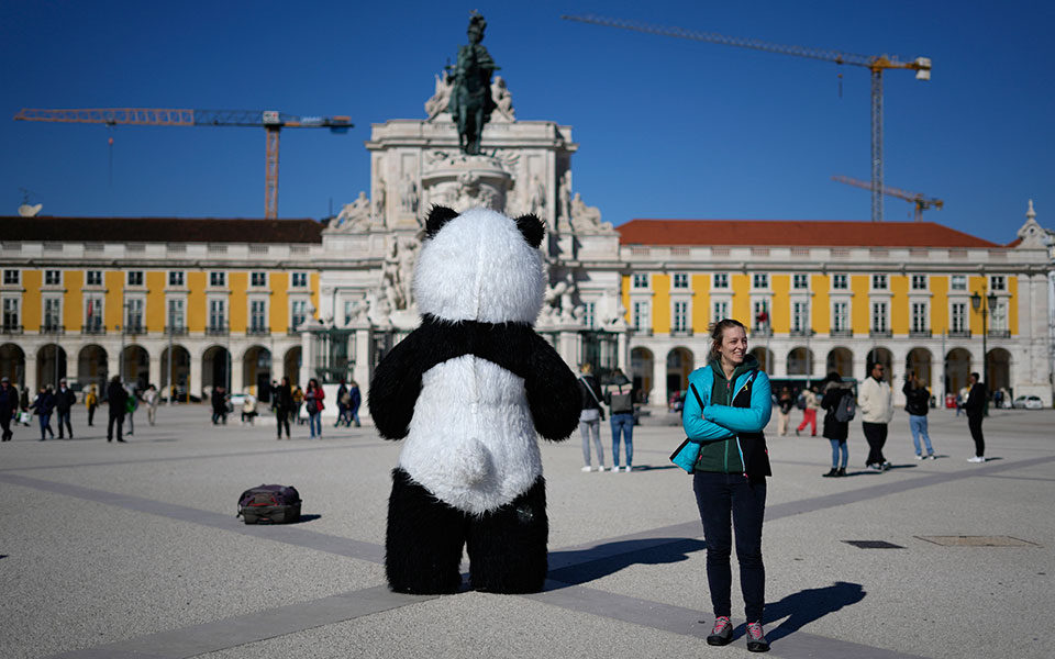πορτογαλία-το-συνταγματικό-δικαστήρ-562254067