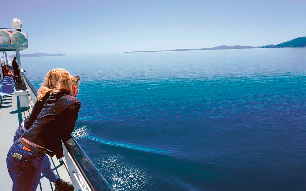 αντριάνο-ακάρντο-πώς-η-εφαρμογή-του-tiktok-κ-562234627