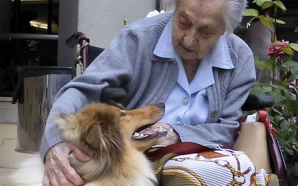 «Είμαι μεγάλη, πολύ μεγάλη, αλλά όχι ανόητη» – Η γηραιότερη γυναίκα στον κόσμο… τουιτάρει χαρούμενη-1