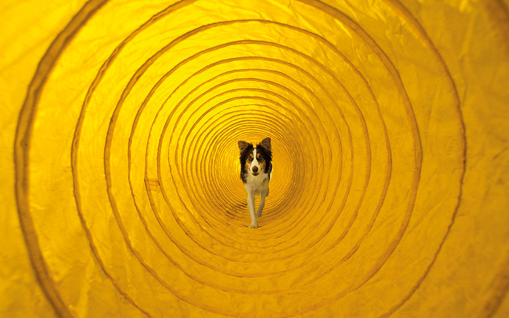 τι-είναι-το-agility-562247467