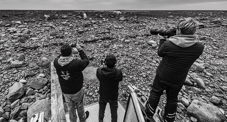 33 ημέρες με τις πολικές αρκούδες-4