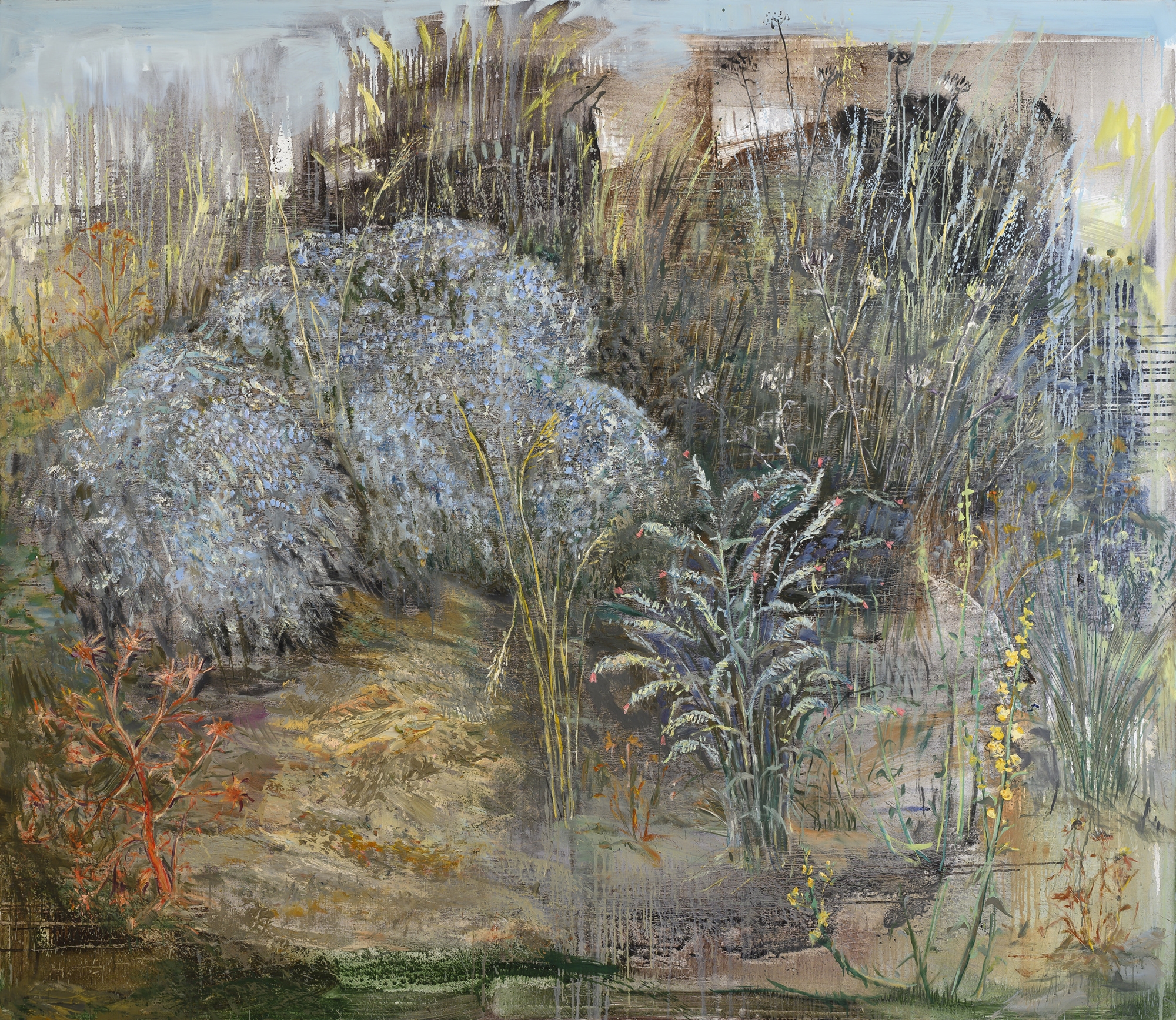 τοπιογραφίες-βιωμάτων-και-εμπειριών-562224217