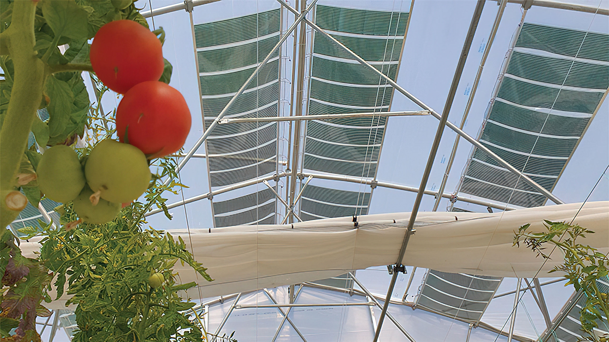 Φωτοβολταϊκά 3ης γενιάς από… 3D εκτυπωτή στη Θεσσαλονίκη-5