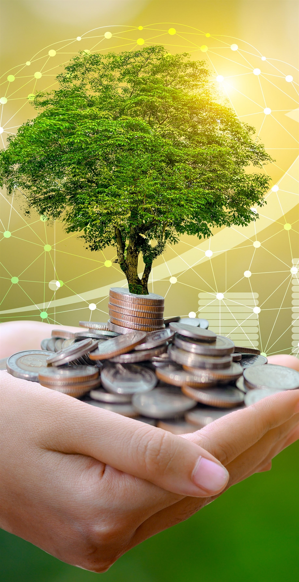 δράσεις-για-πράσινη-μετάβαση-μικρομε-562213228