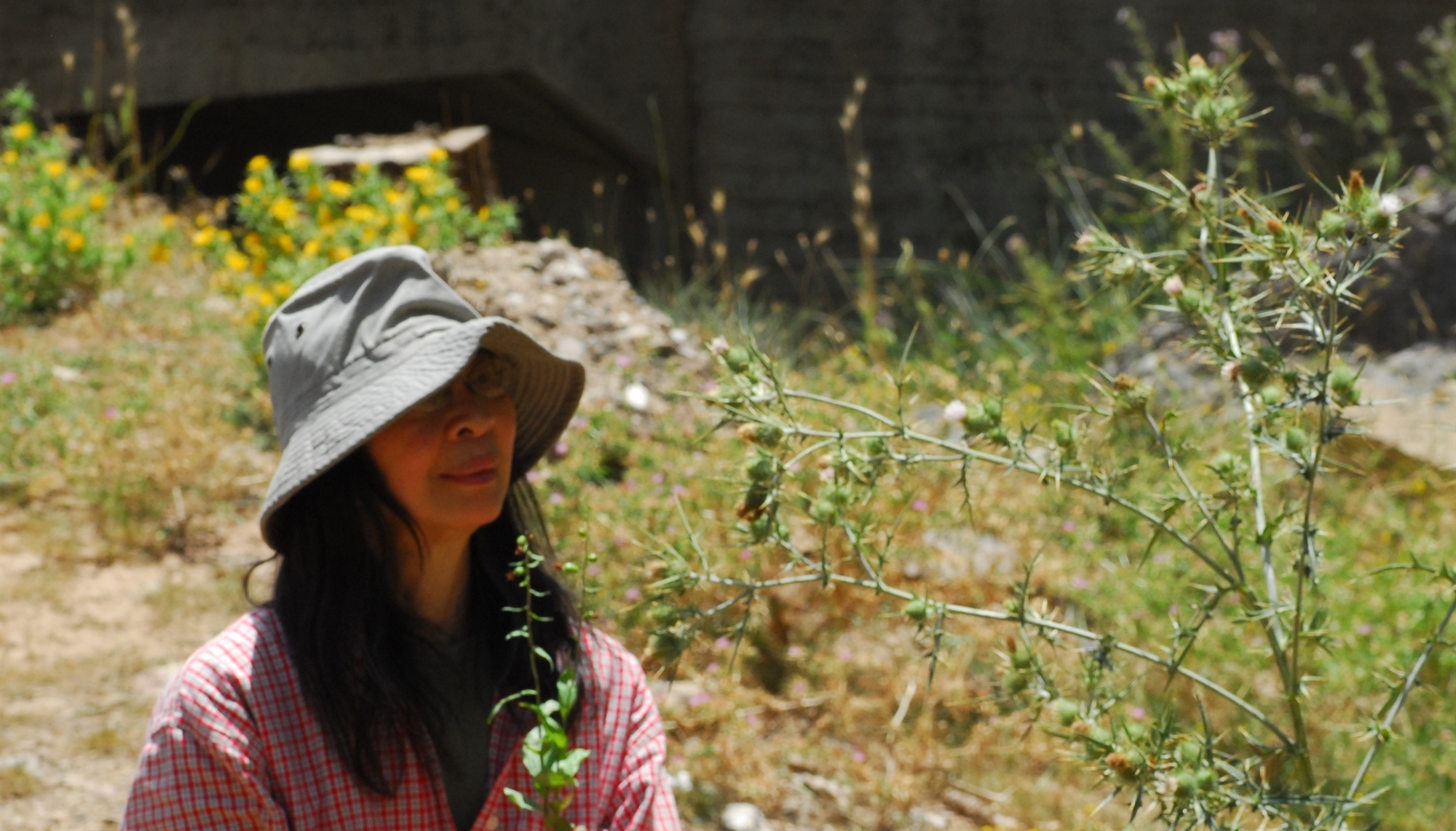 H Σκωτσέζα βοτανολόγος που ανακάλυψε έναν μυστικό θησαυρό της Ηλείας-1