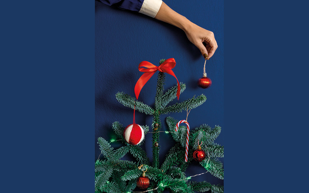 έλατο-τι-το-κάνουμε-μετά-το-ξεστόλισμα-562210945