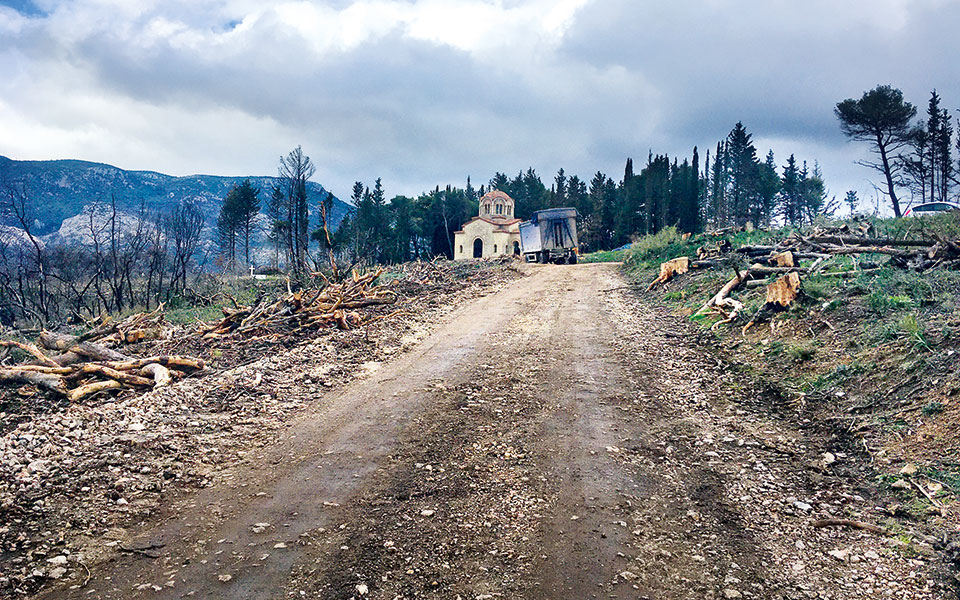 Τατόι: Οδοιπορικό της «Κ» στον λοφίσκο Παλαιόκαστρο-2