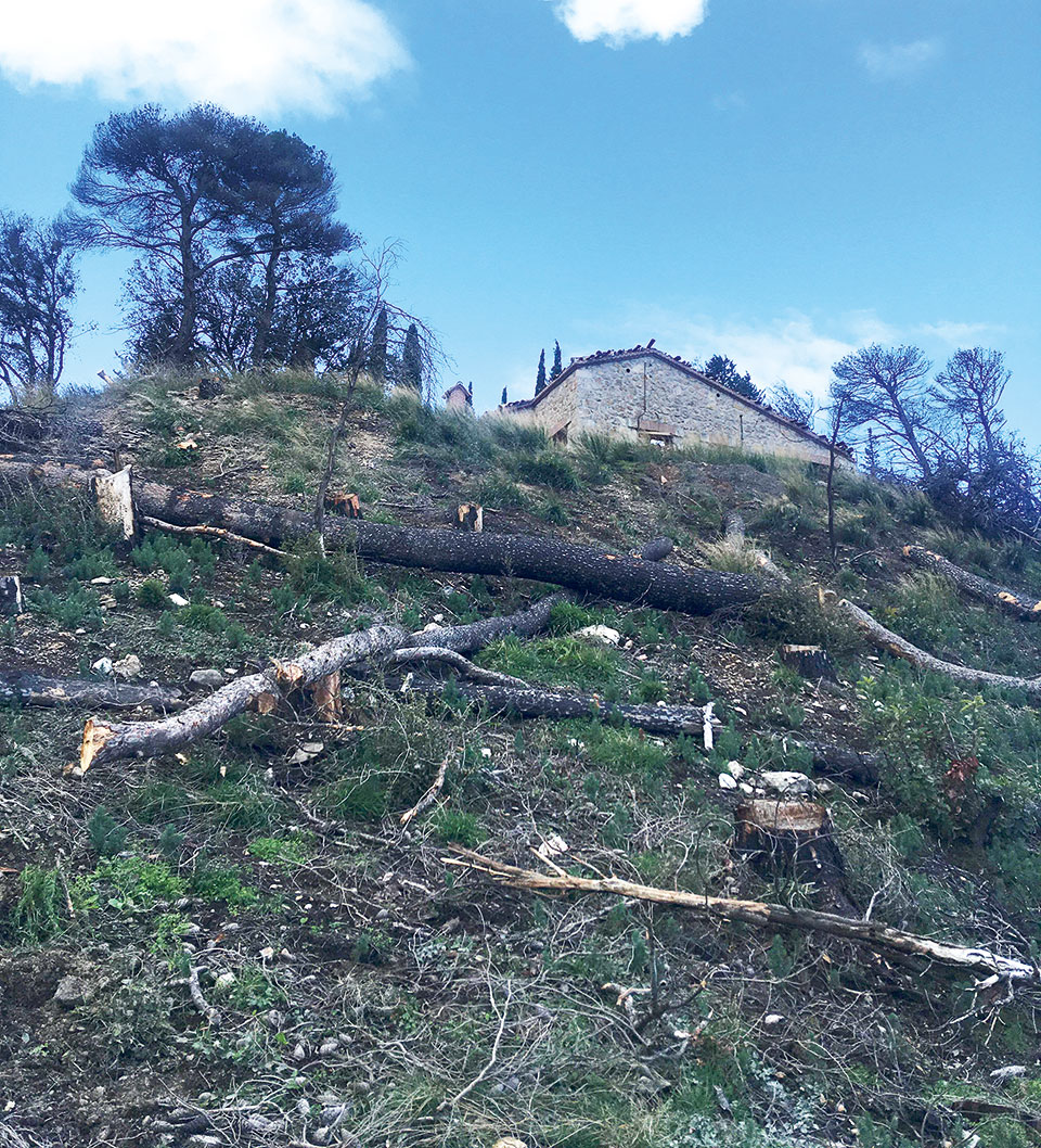 Τατόι: Οδοιπορικό της «Κ» στον λοφίσκο Παλαιόκαστρο-3