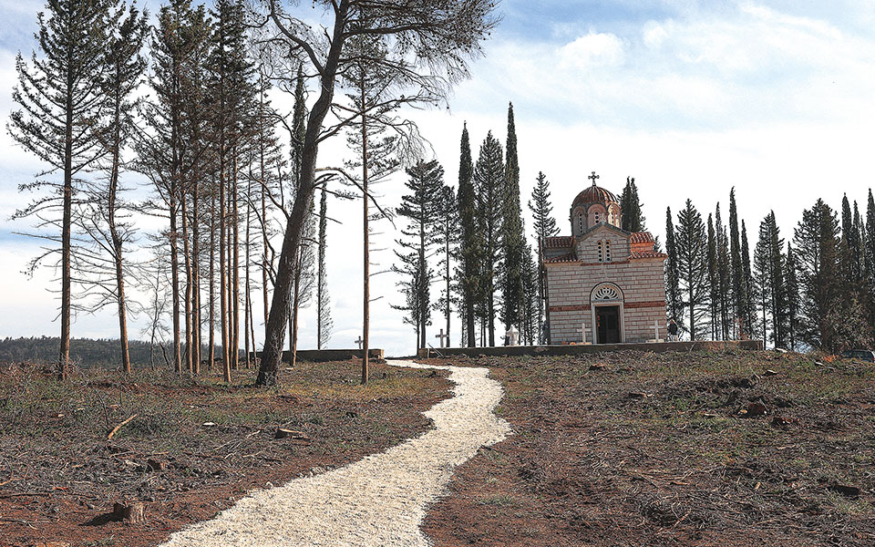 κηδεία-τέως-βασιλιά-κωνσταντίνου-το-π-562229113