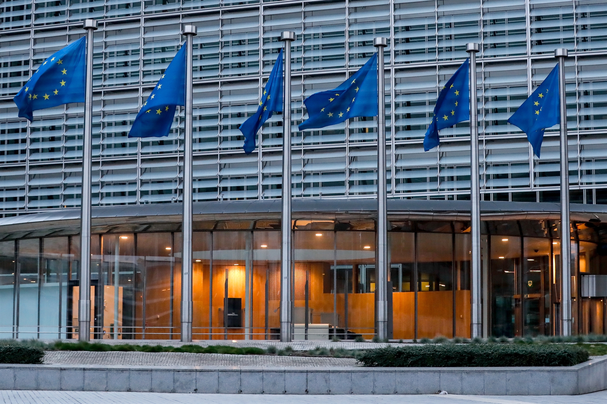 άρθρο-της-α-καλύβα-στην-κ-o-φπα-στην-ψη-562251427