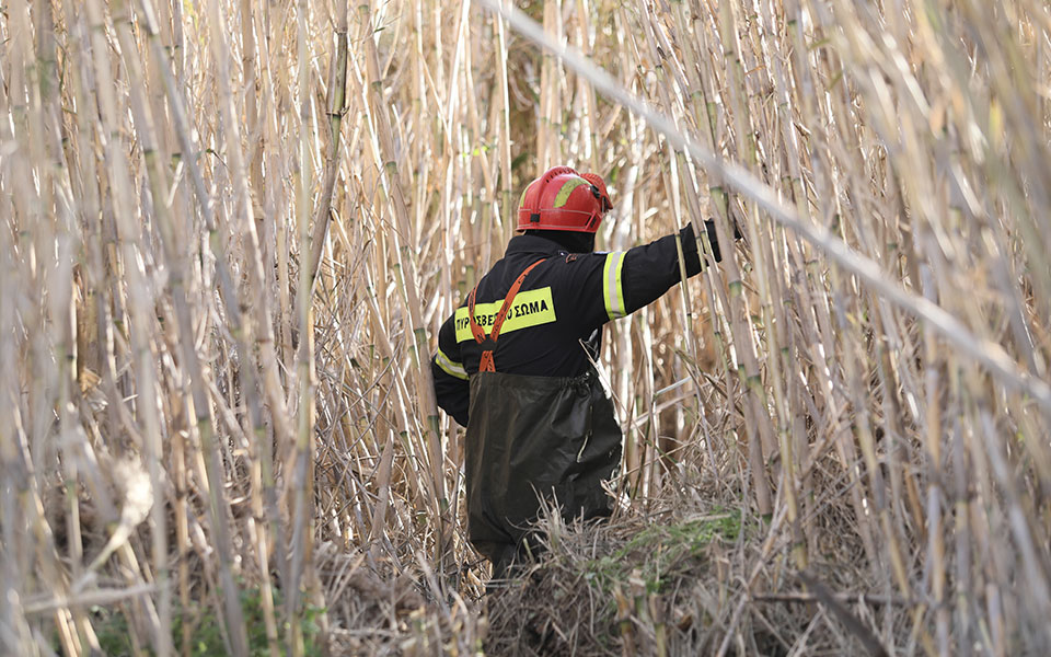 φυλή-επιχείρηση-της-πυροσβεστικής-γι-562218676