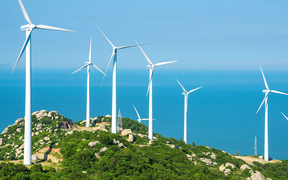 bloomberg-η-εε-κοιτά-το-δέντρο-κυριολεκτικά-κα-562218187