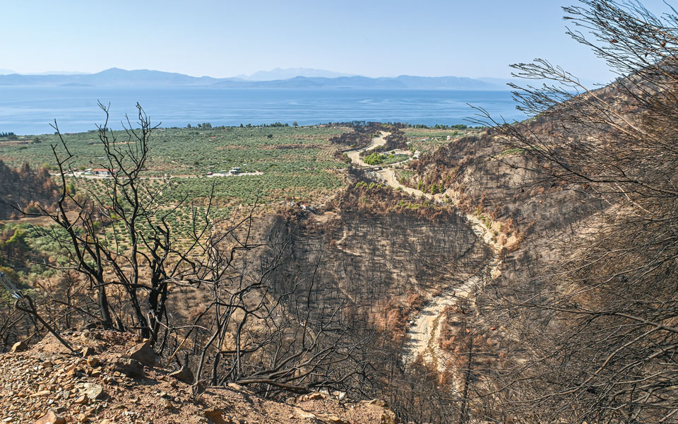 το-μέλλον-της-εύβοιας-είναι-πράσινο-562215049