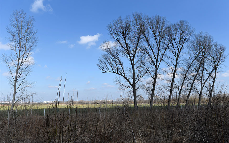 στον-εβρο-ο-τάκης-θεοδωρικάκος-μαζί-με-2-562234570