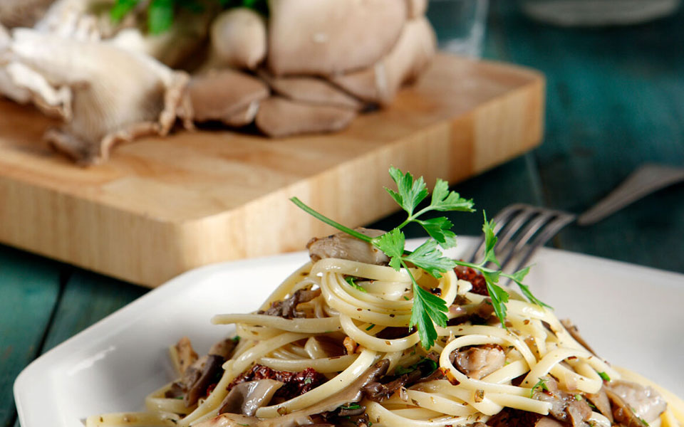 η-επιστήμη-μίλησε-τα-σαρκοβόρα-πλευρώ-562238530