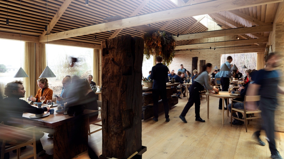 γιατί-στο-όνομα-του-noma-γεννιούνται-τόσο-562234177