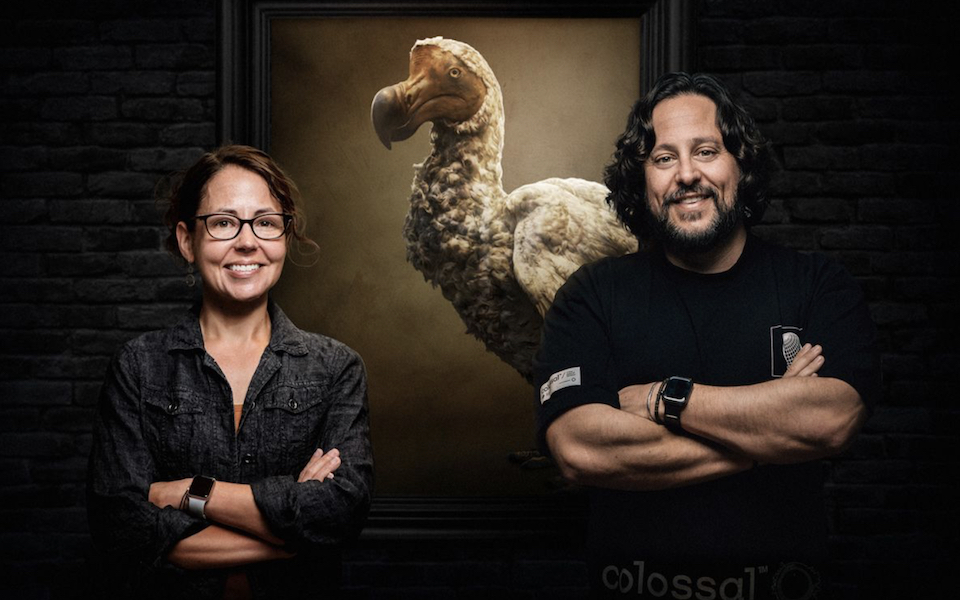 jurassic-park-αλλά-με-ντόντο-βιολόγοι-θέλουν-να-562255750