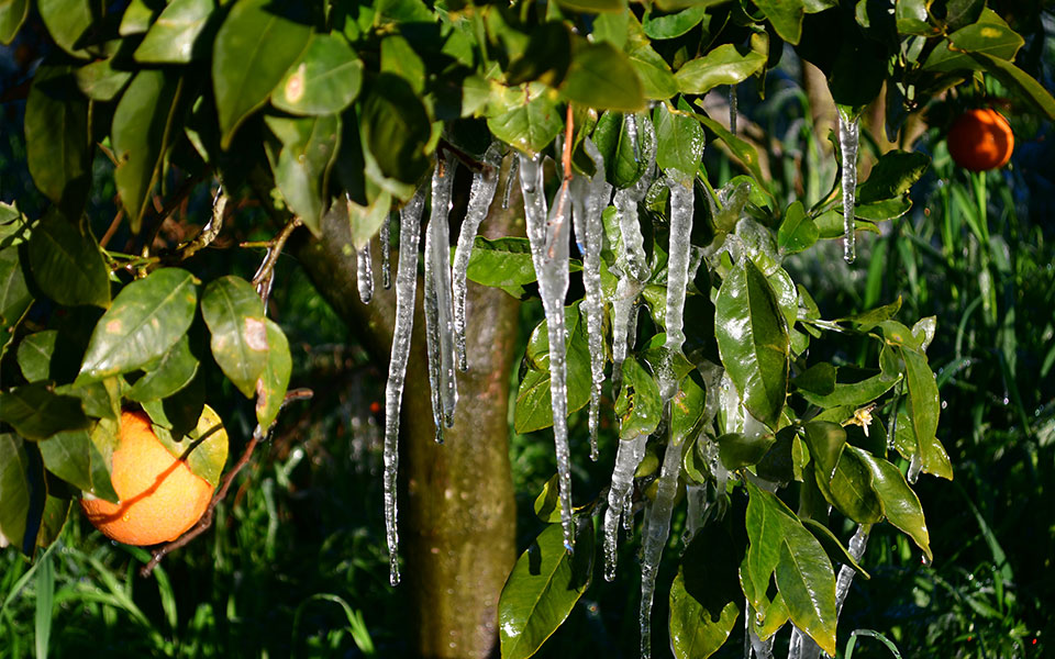 εφαρμογή-του-υπαατ-θα-προειδοποιεί-το-562252885