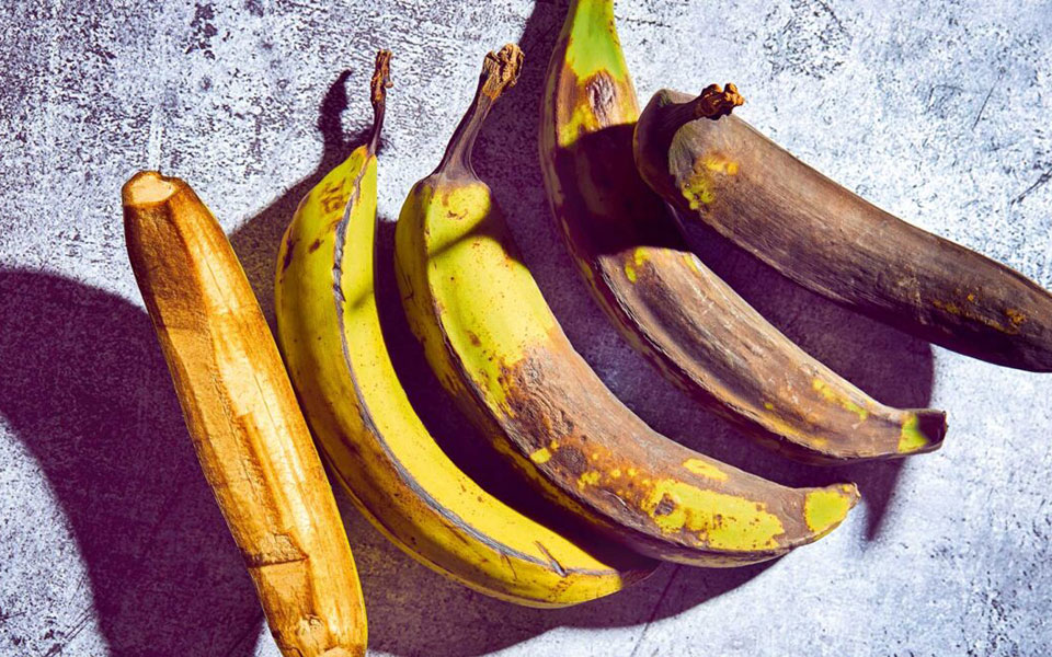 κι-όμως-δεν-είναι-μπανάνες-είναι-πλαντ-562236892